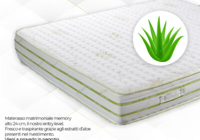 Memory Aloe